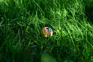 gulicka v trave