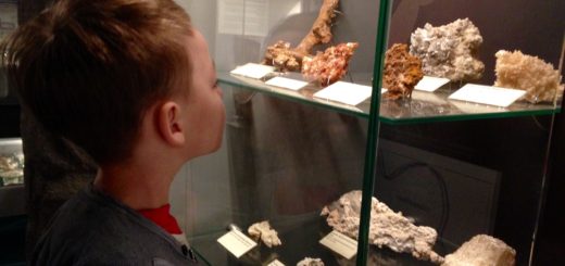 Fedor v múzeu obdivuje skameneliny